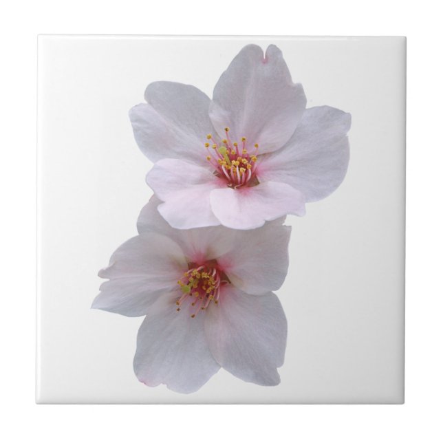 Azulejo De Cerâmica Sakura (Frente)