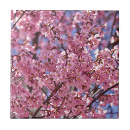 Azulejo De Cerâmica Sakura Pink Chersom Sky