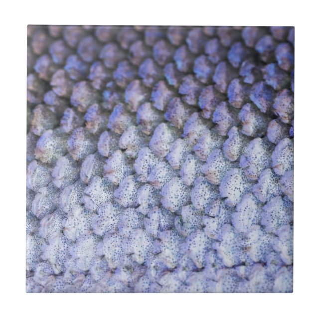 Azulejo De Cerâmica Salmão Shimmering (Frente)
