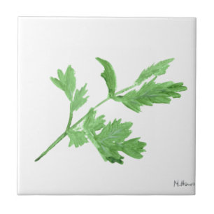 Azulejo De Cerâmica Salsa água tinta ervas verde botânica plantas