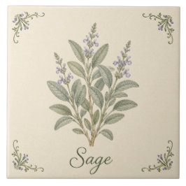 Azulejo De Cerâmica Salvia Roxa Vintage Erva Botânica de Cozinha