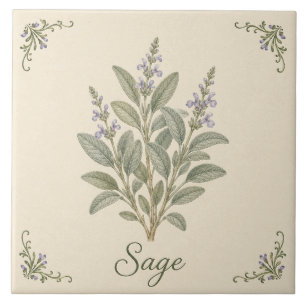 Azulejo De Cerâmica Salvia Roxa Vintage Erva Botânica de Cozinha