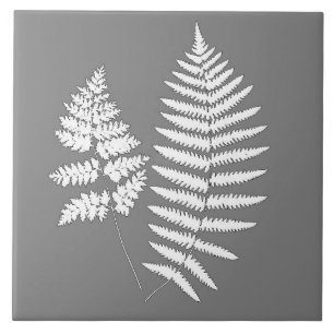Azulejo De Cerâmica Samambaia da Floresta, Cinza e Branco