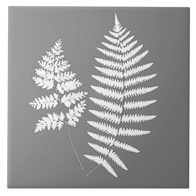 Azulejo De Cerâmica Samambaia da Floresta, Cinza e Branco (Frente)