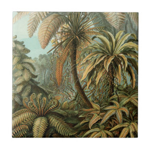 Azulejo De Cerâmica Samambaia Palmeira Arte Botânica Antiga de Samamba
