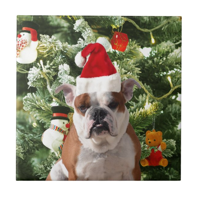 Azulejo De Cerâmica Santa Hat Bulldog Árvore de Natal Snowman Caixa de (Frente)