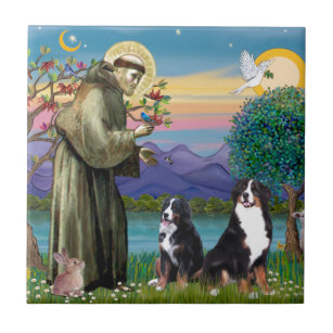Azulejo De Cerâmica Santo Francisco - Dois Cães de Montanha Berneses