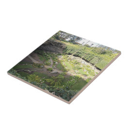 Azulejo De Cerâmica Santuário Oculto de Umpherston Sinkhole