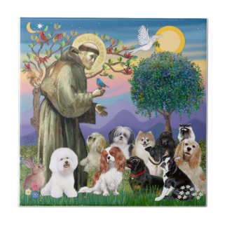 Azulejo De Cerâmica São Francisco com 10 Cães
