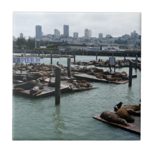 Azulejo De Cerâmica São Francisco e Pier 39 Sea Lions City Skyline