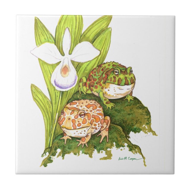 Azulejo De Cerâmica Sapos com ornamentado (Frente)