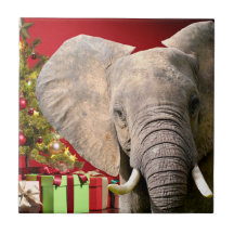 Saudações de Natal do Elefante