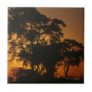 Azulejo De Cerâmica Savannah Sunset