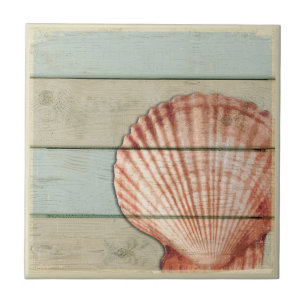 Azulejo De Cerâmica Scallop Shell