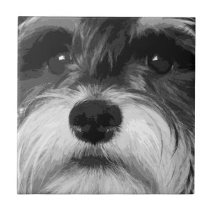 Azulejo De Cerâmica Schnauzer diminuto