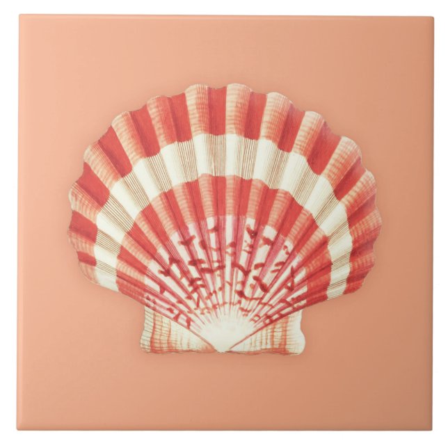 Azulejo De Cerâmica Sea Shell - laranja e branco de coral (Frente)