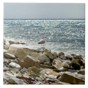 Azulejo De Cerâmica Seagull