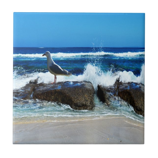 Azulejo De Cerâmica Seagull Em Beach Rocks, (Frente)