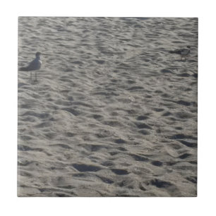 Azulejo De Cerâmica Seagull em Cocoa Beach