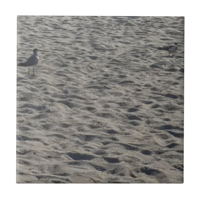 Azulejo De Cerâmica Seagull em Cocoa Beach (Frente)