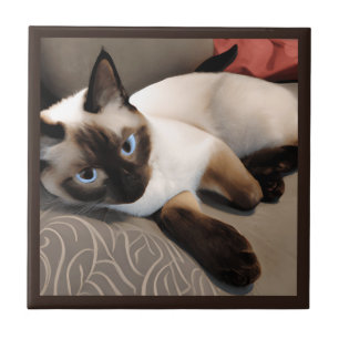Azulejo De Cerâmica Seal Point Retrato Digital Siamese
