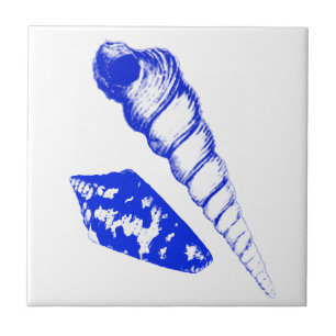 Azulejo De Cerâmica Seashell - azuis cobaltos e branco