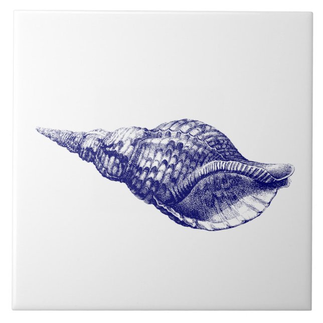 Azulejo De Cerâmica Seashell Charonia Tritonis Azul e Branco (Frente)