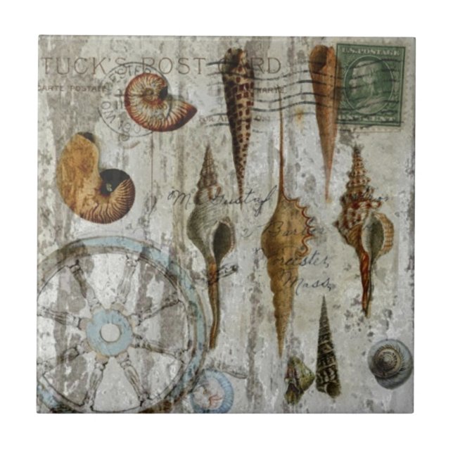 Azulejo De Cerâmica seashell chique litoral whitewashed rústico (Frente)