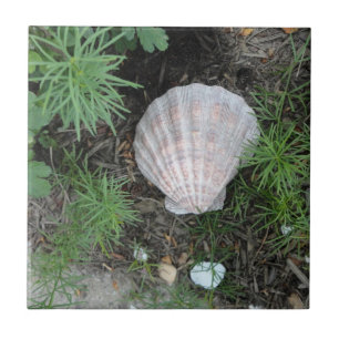 Azulejo De Cerâmica Seashell no jardim