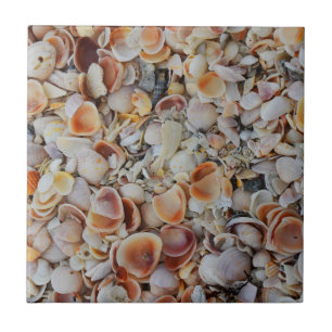 Azulejo De Cerâmica Seashells Beachy