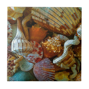 Azulejo De Cerâmica Seashells Beachy