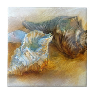 Azulejo De Cerâmica Seashells na praia