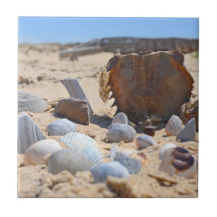 Azulejo De Cerâmica Seashells On the Beach por Shirley Taylor