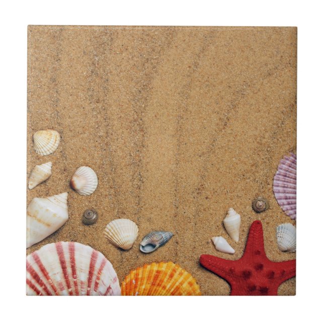 Azulejo De Cerâmica Seashells Starfish Sandy Beach (Frente)