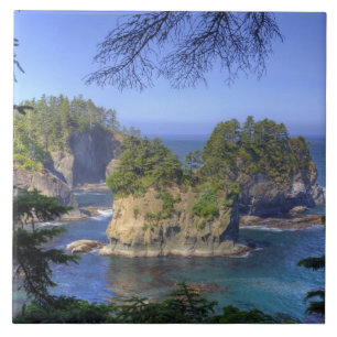 Azulejo De Cerâmica Seastacks, Terras Tribais Makah Nation, Cabo