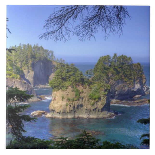 Azulejo De Cerâmica Seastacks, Terras Tribais Makah Nation, Cabo (Frente)