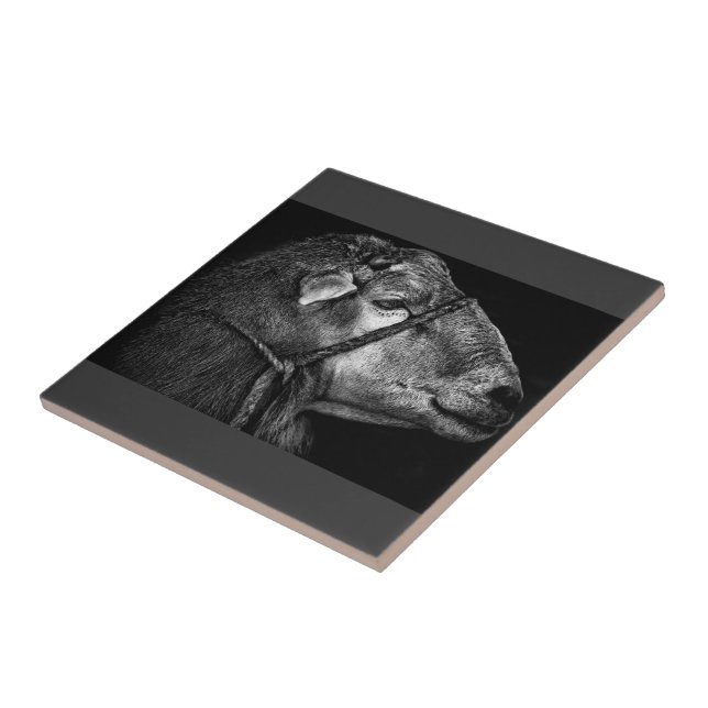 Azulejo De Cerâmica seguindo (Lateral)