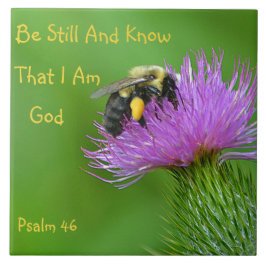 Azulejo De Cerâmica Seja ainda zangão