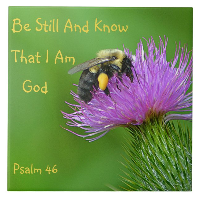 Azulejo De Cerâmica Seja ainda zangão (Frente)