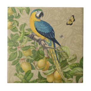 Azulejo De Cerâmica Selva Tropical Amarela Macaw Antiguidade