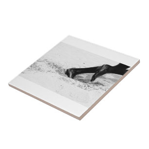 Azulejo De Cerâmica sem areia