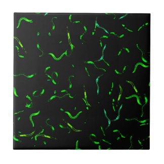Azulejo De Cerâmica Sem-fins de GFP