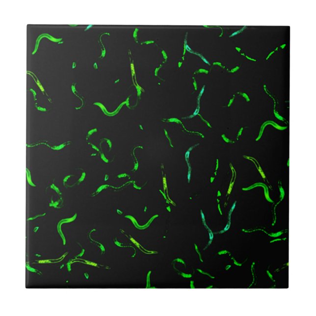 Azulejo De Cerâmica Sem-fins de GFP (Frente)