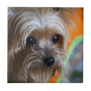 Azulejo De Cerâmica Senhora yorkshire terrier