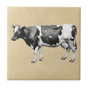 Azulejo De Cerâmica Sepia da vaca de leiteria