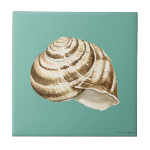 Azulejo De Cerâmica Sepia Striped Shell em Teal