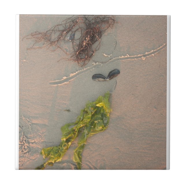 Azulejo De Cerâmica Sereia (Frente)