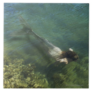 Azulejo De Cerâmica Sereia que nada debaixo d'água