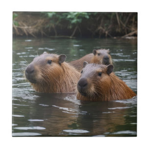 Azulejo De Cerâmica "Serenidade do Rio: Capybaras Nadando no Fluxo"