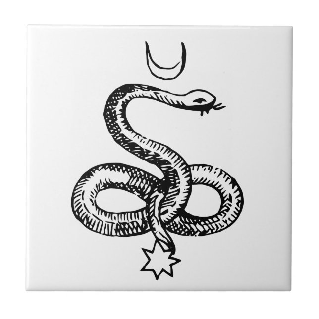 Azulejo De Cerâmica Serpente - Símbolos Paganos (Frente)